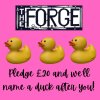 Pledge £20 and we’ll name a duck after you!-2
