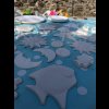PXL_20240831_094415133