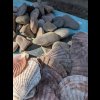 PXL_20240831_094340700