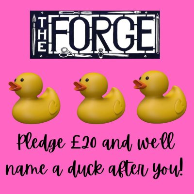 Pledge £20 and we’ll name a duck after you!-2
